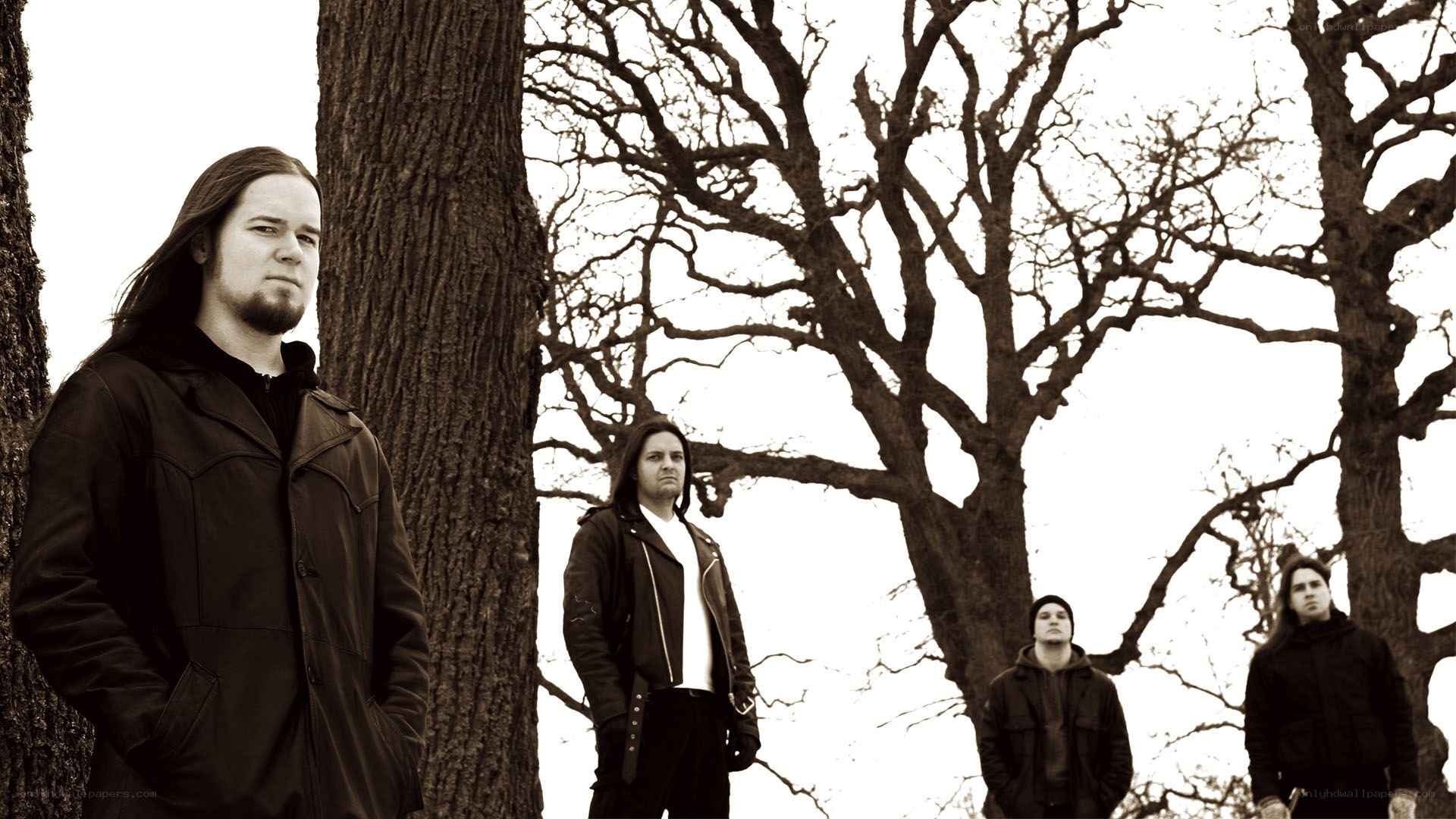 band in a wooded area