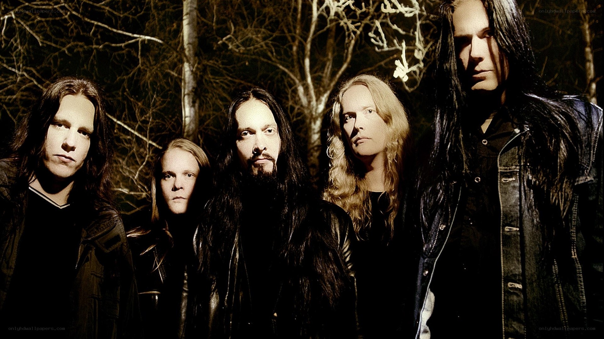 band in dark forest