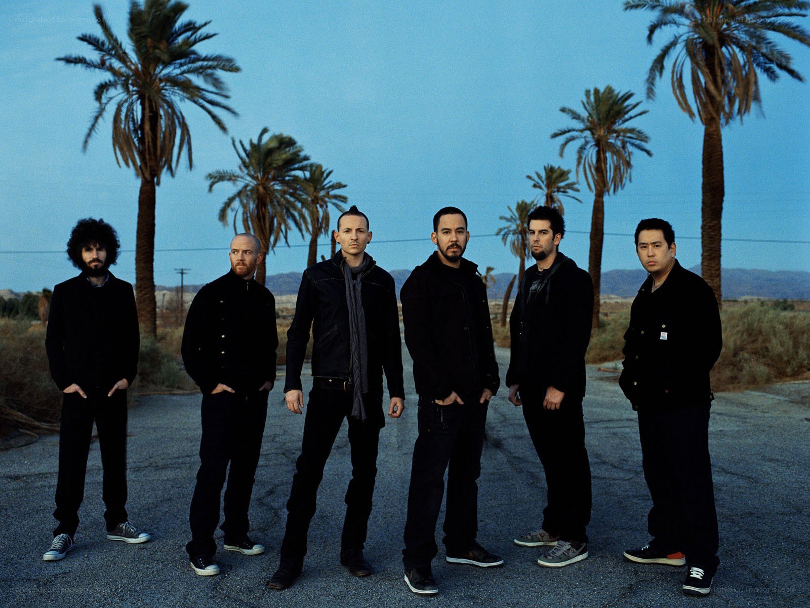 band in desert with palm trees