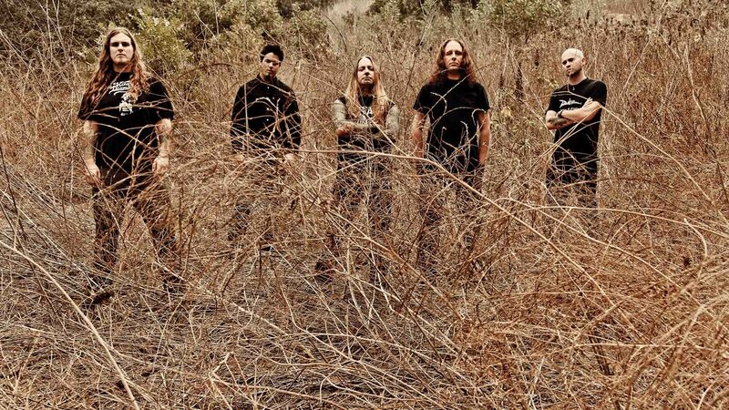 band in dry grass field