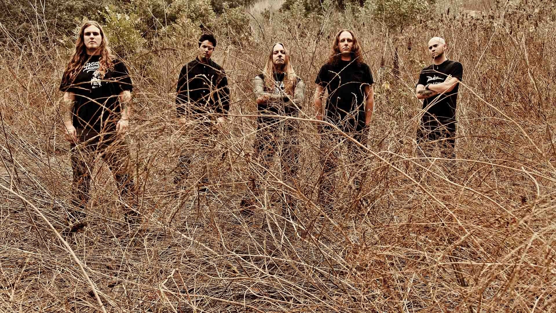 band in dry grass field