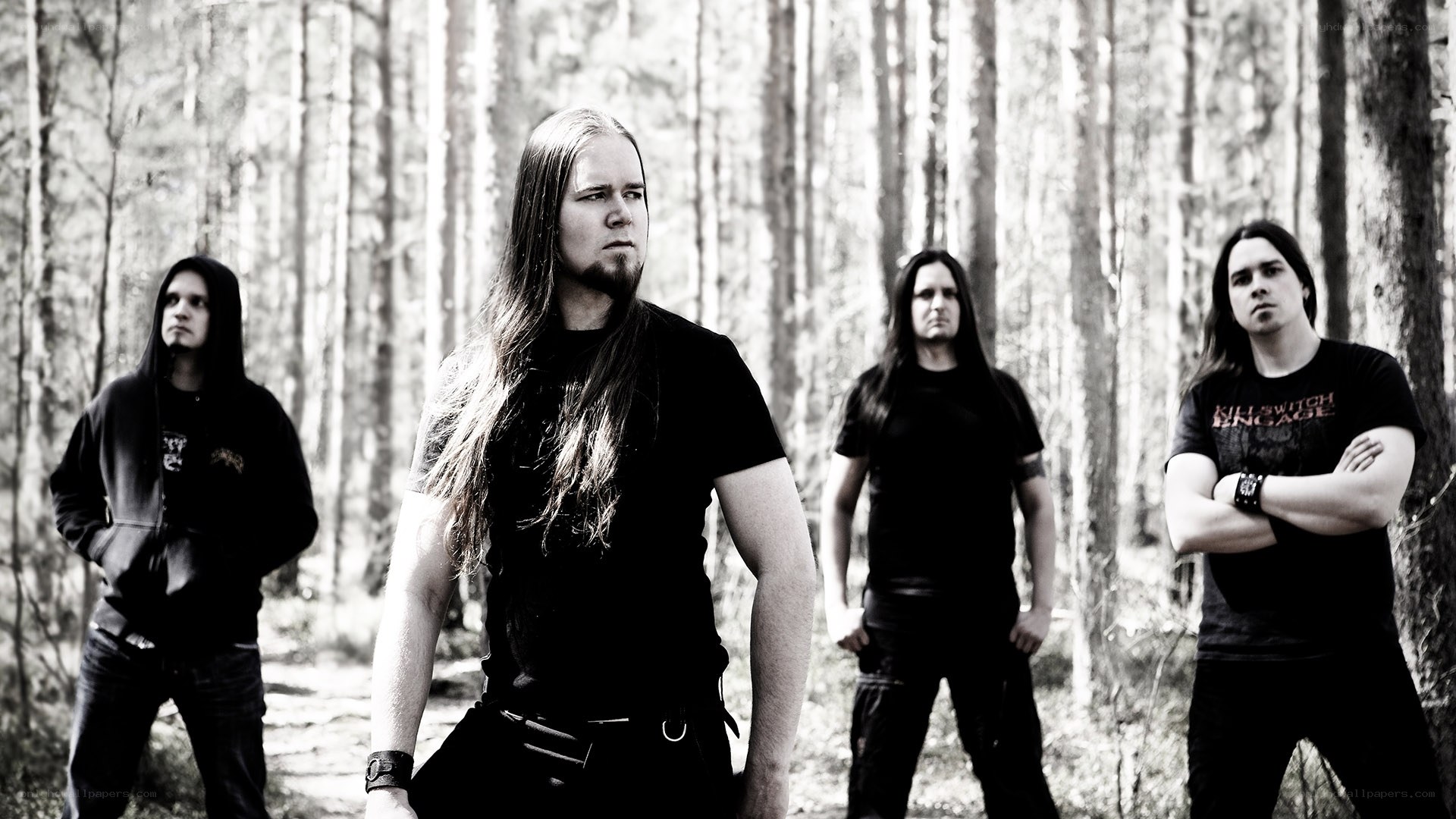 band in forest