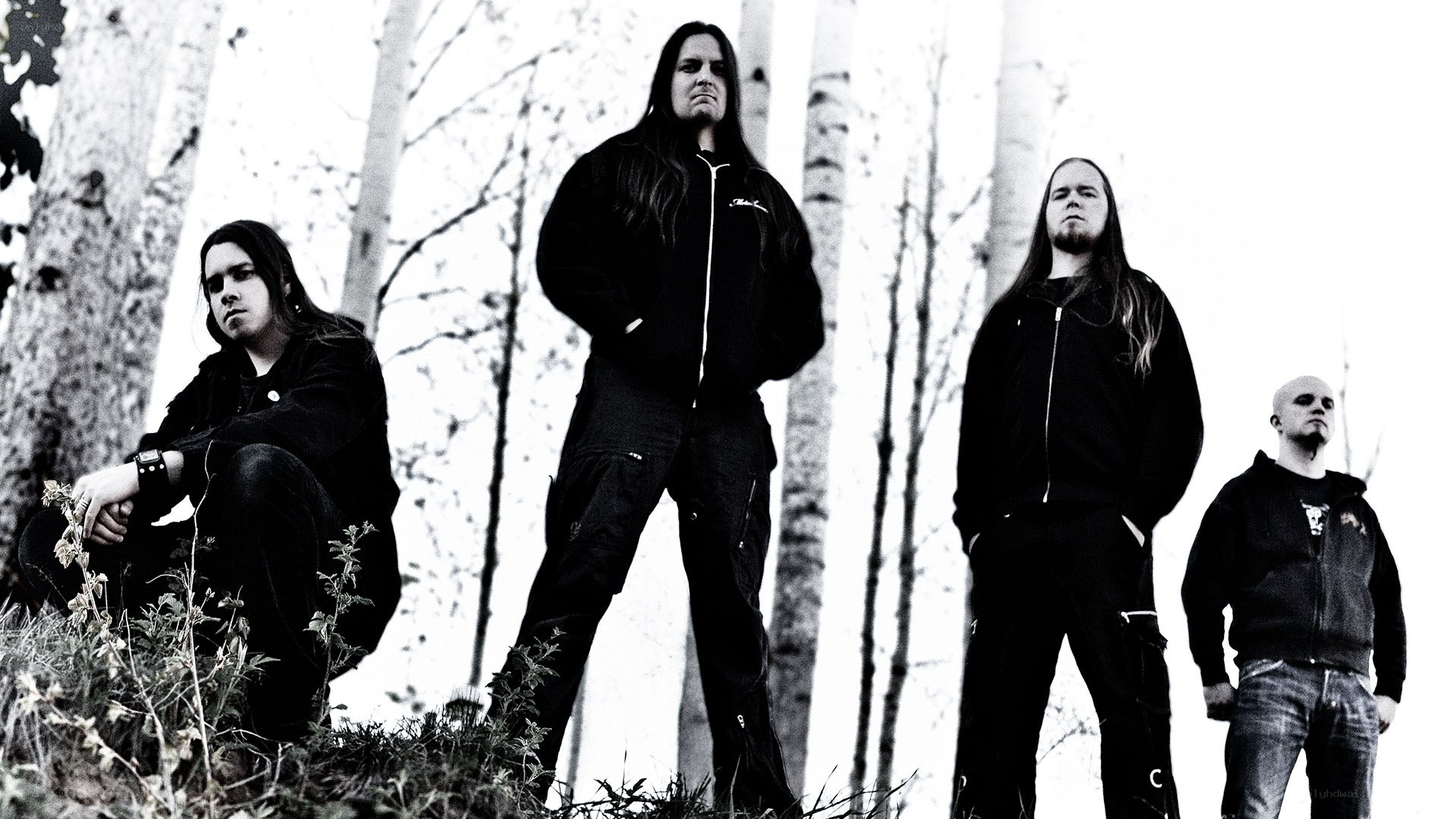 band in forest