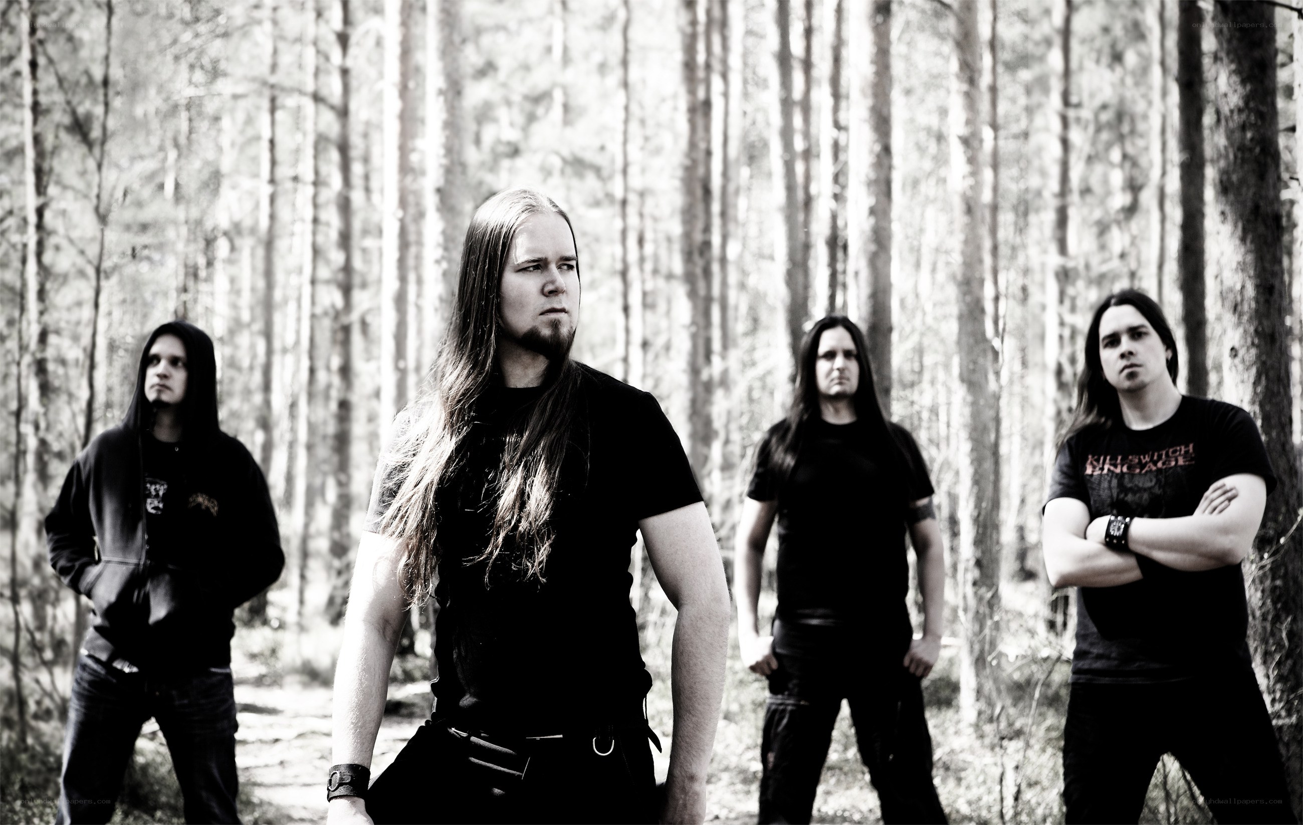 band in forest