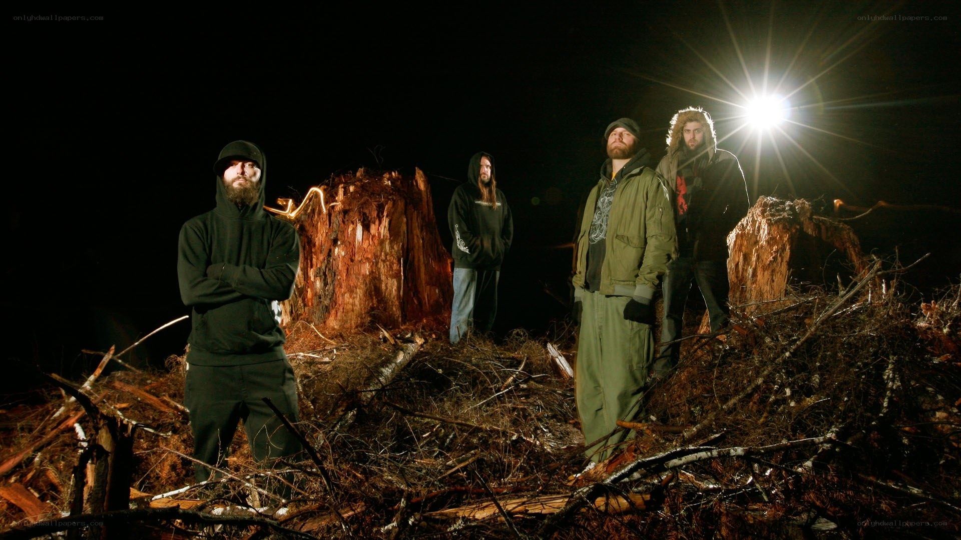 band in forest at night