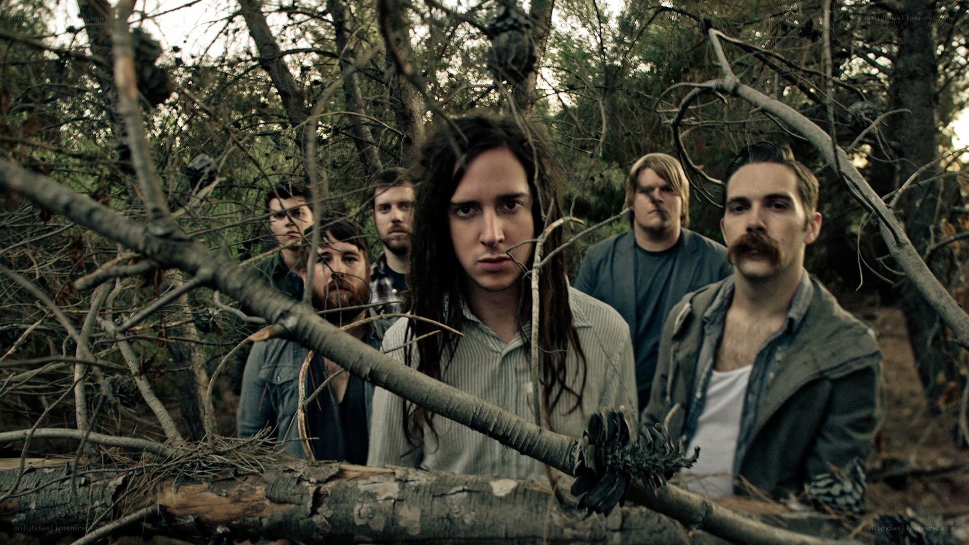 band in forest clearing