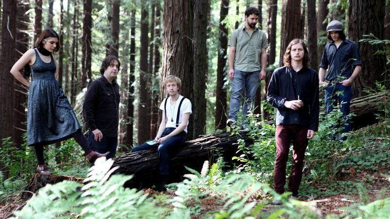 Band in Forest — Green, Natural