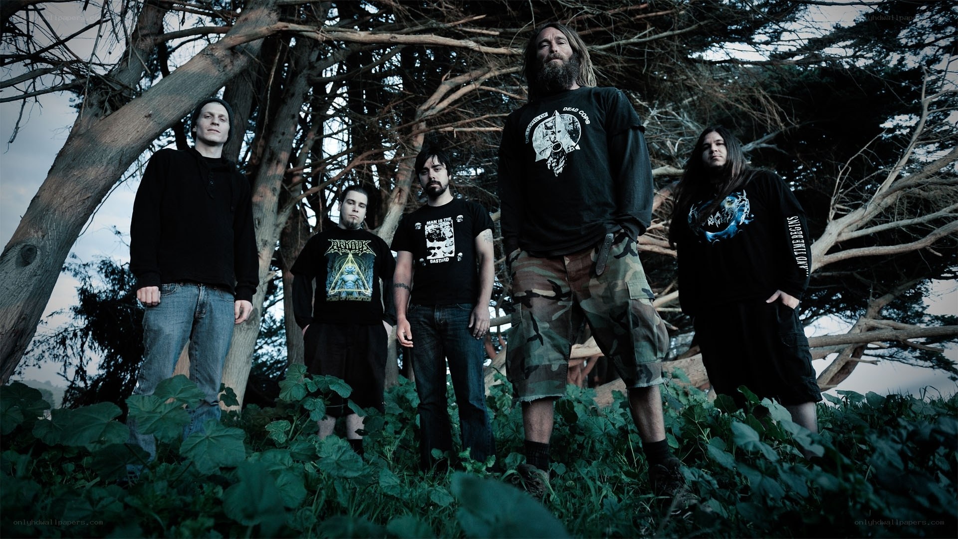 band in forest setting