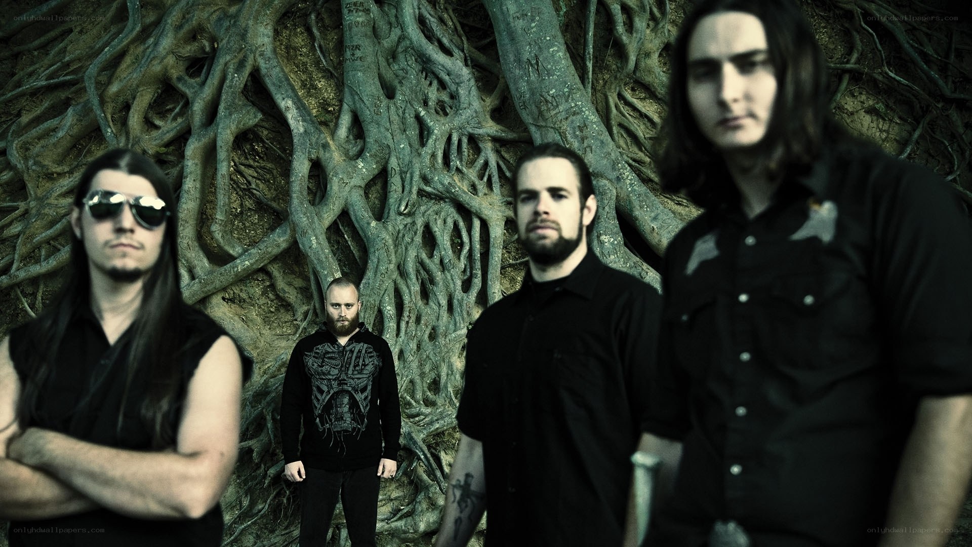 band in front of tree roots