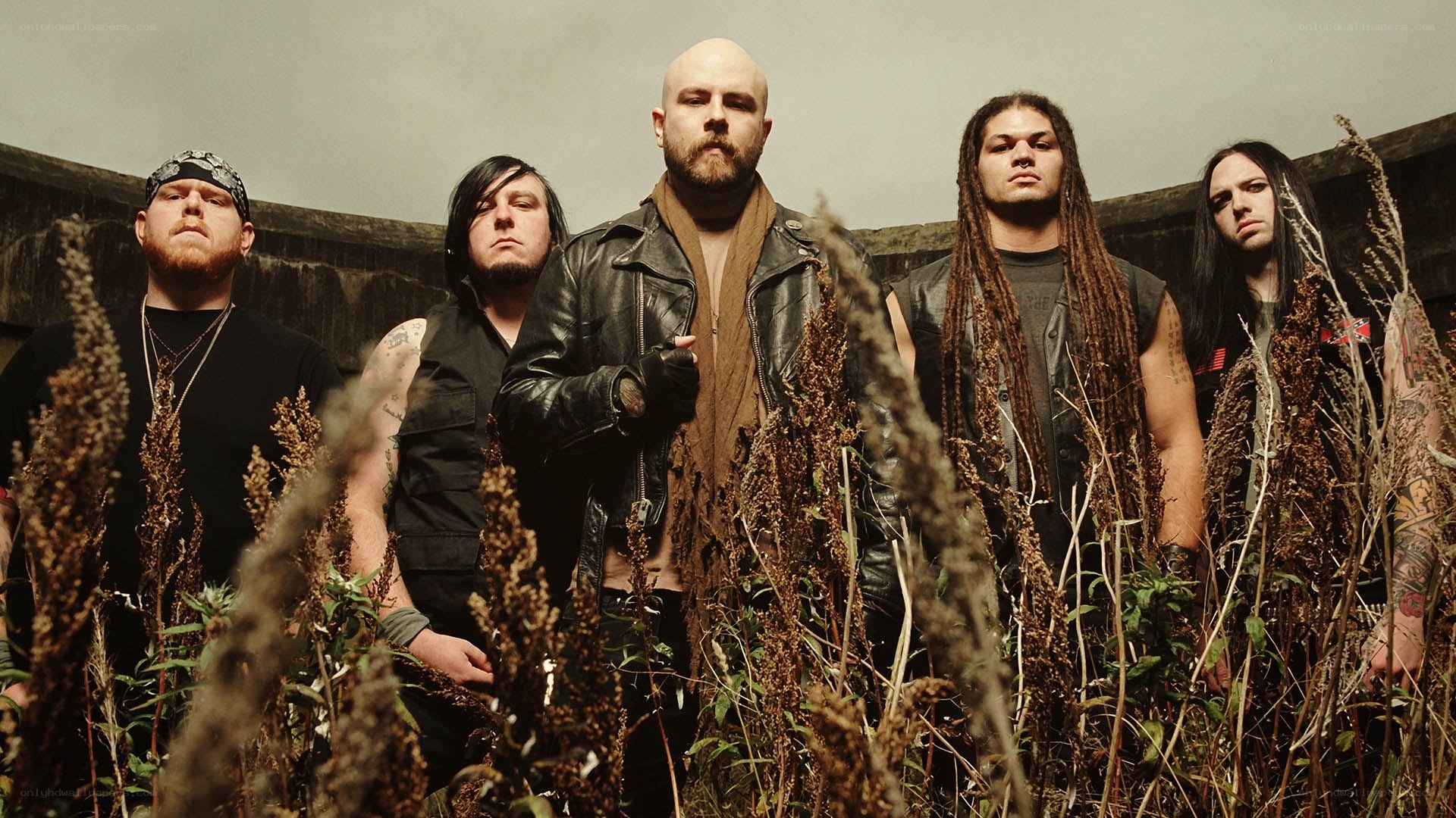 band in overgrown field