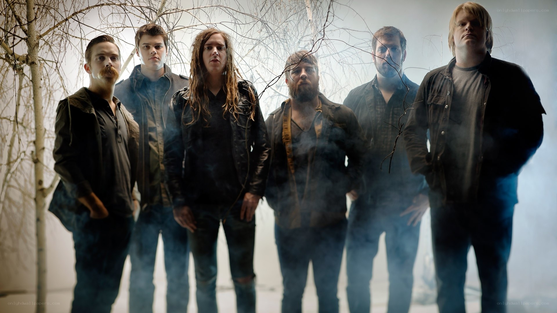 band in smoky forest
