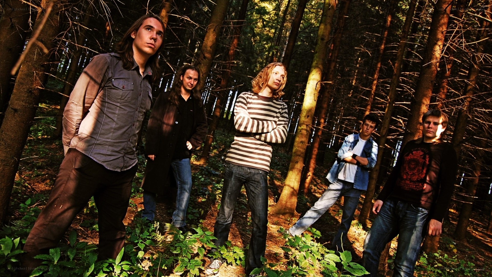 band in the forest