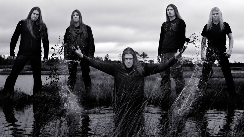 Band in Wetland