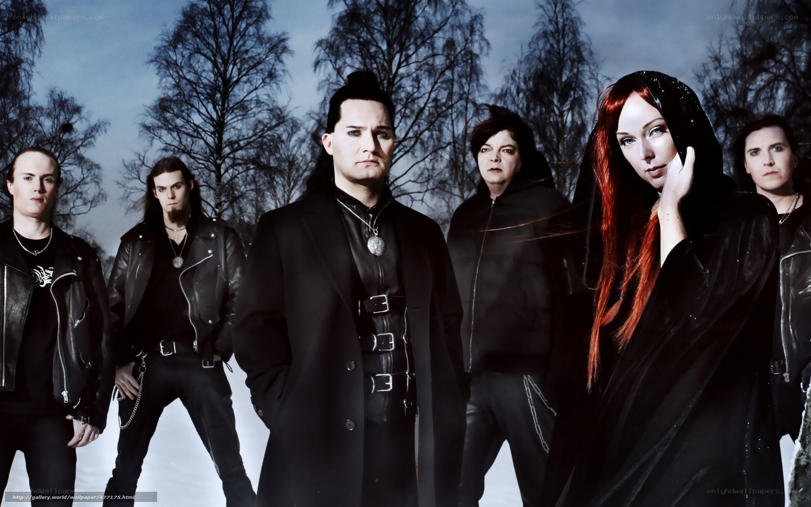 band in winter forest