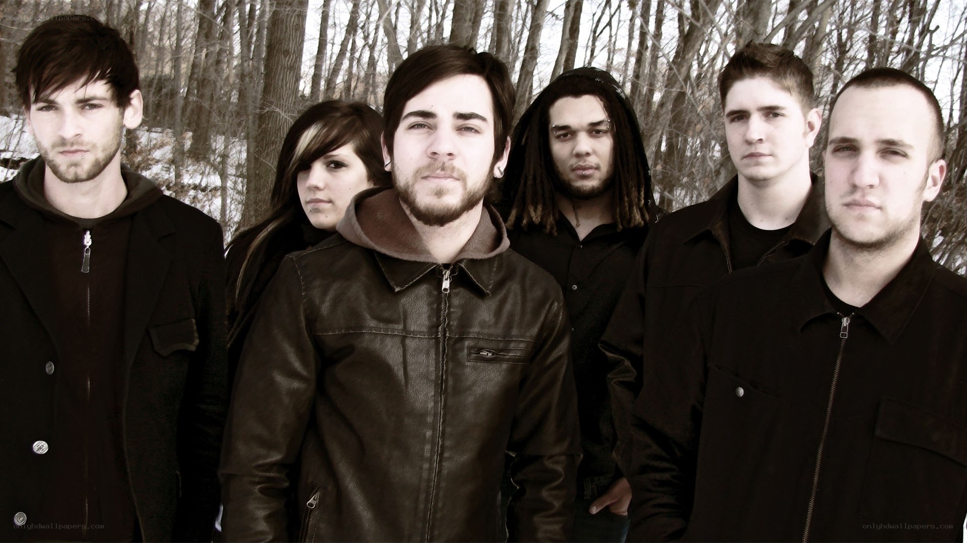 band in winter forest