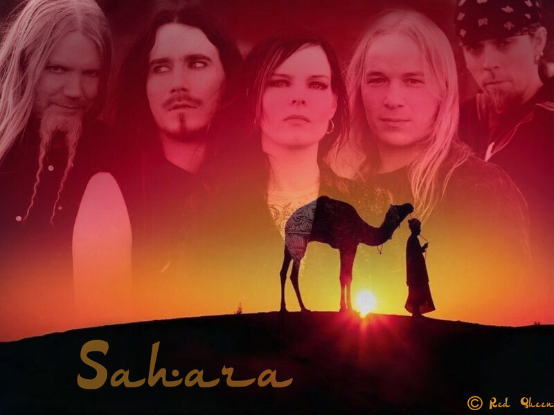 Band Members and Camel