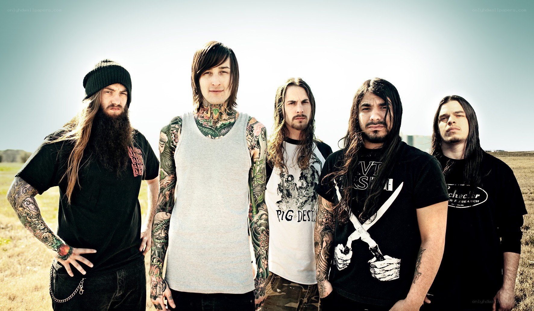 band members in a field