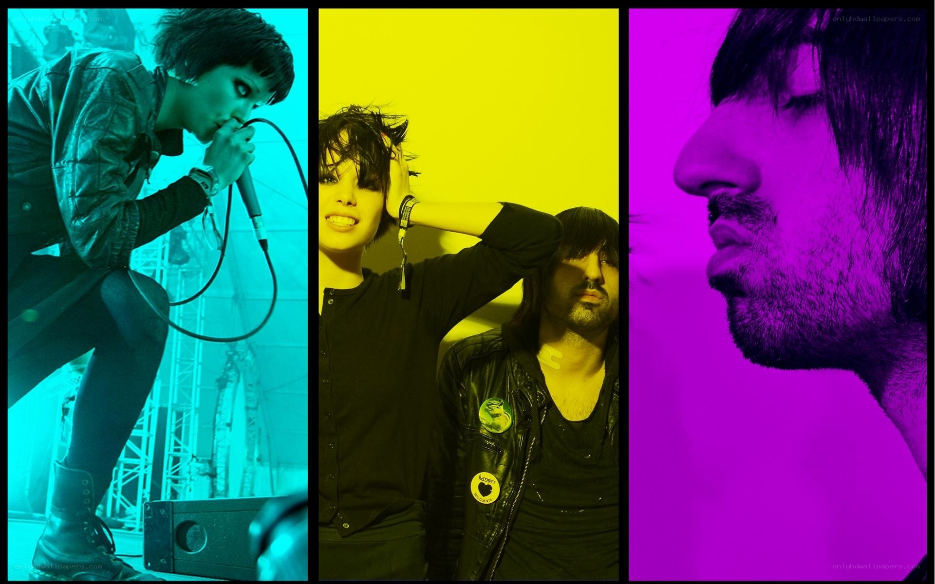band members in colorful panels