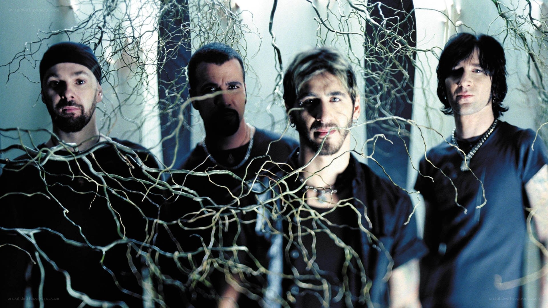 band members in dark setting