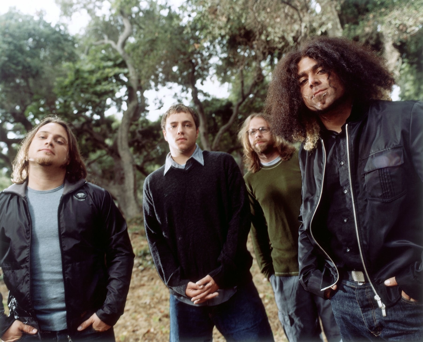 band members in forest