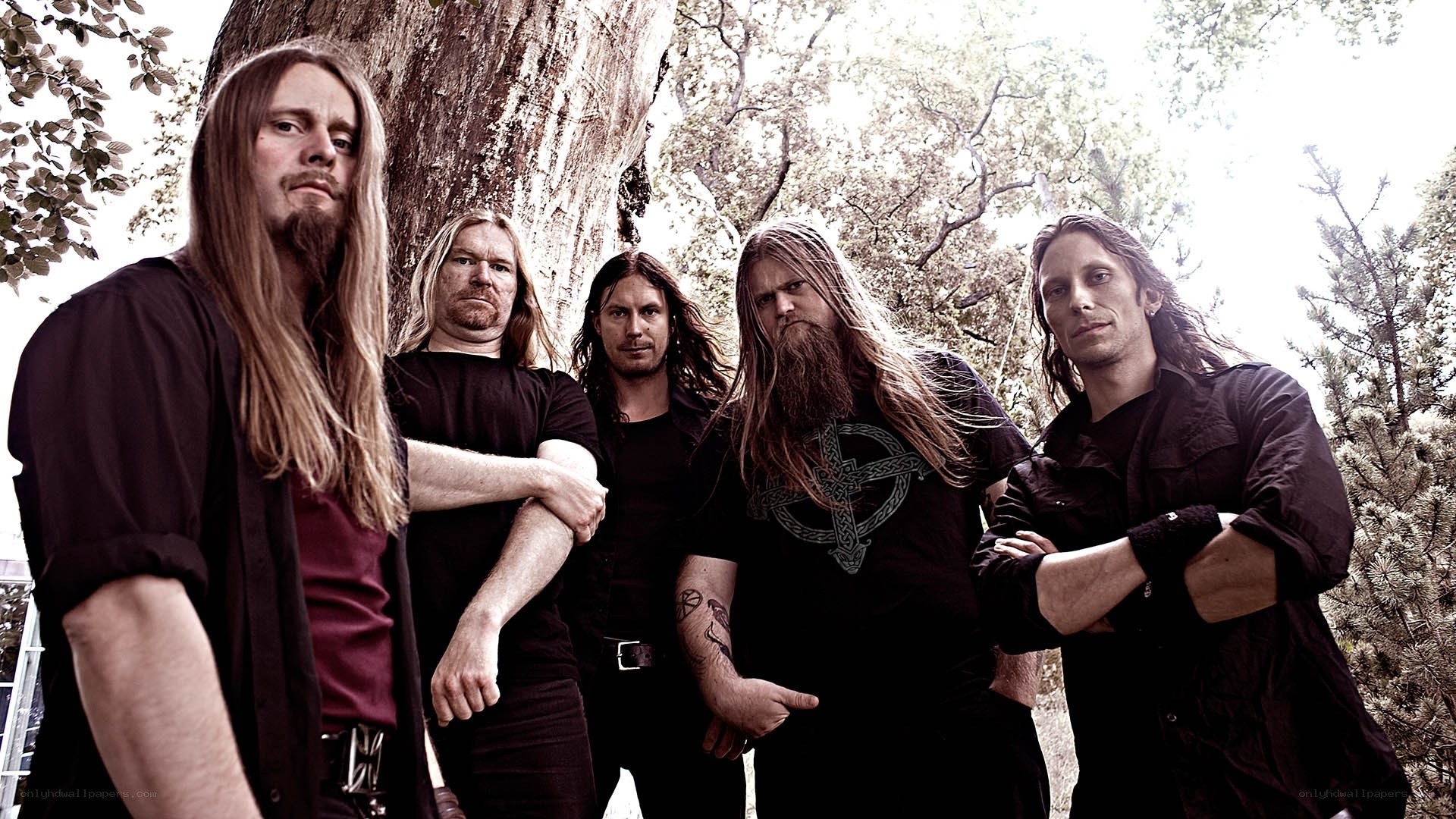 band members in forest