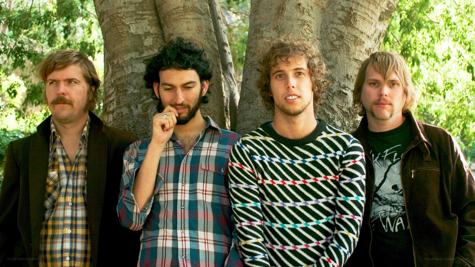 band of four men in park