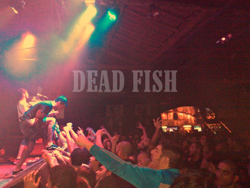 Band Performing on Stage — Red, Energetic, Night, Photograph, Crowd
