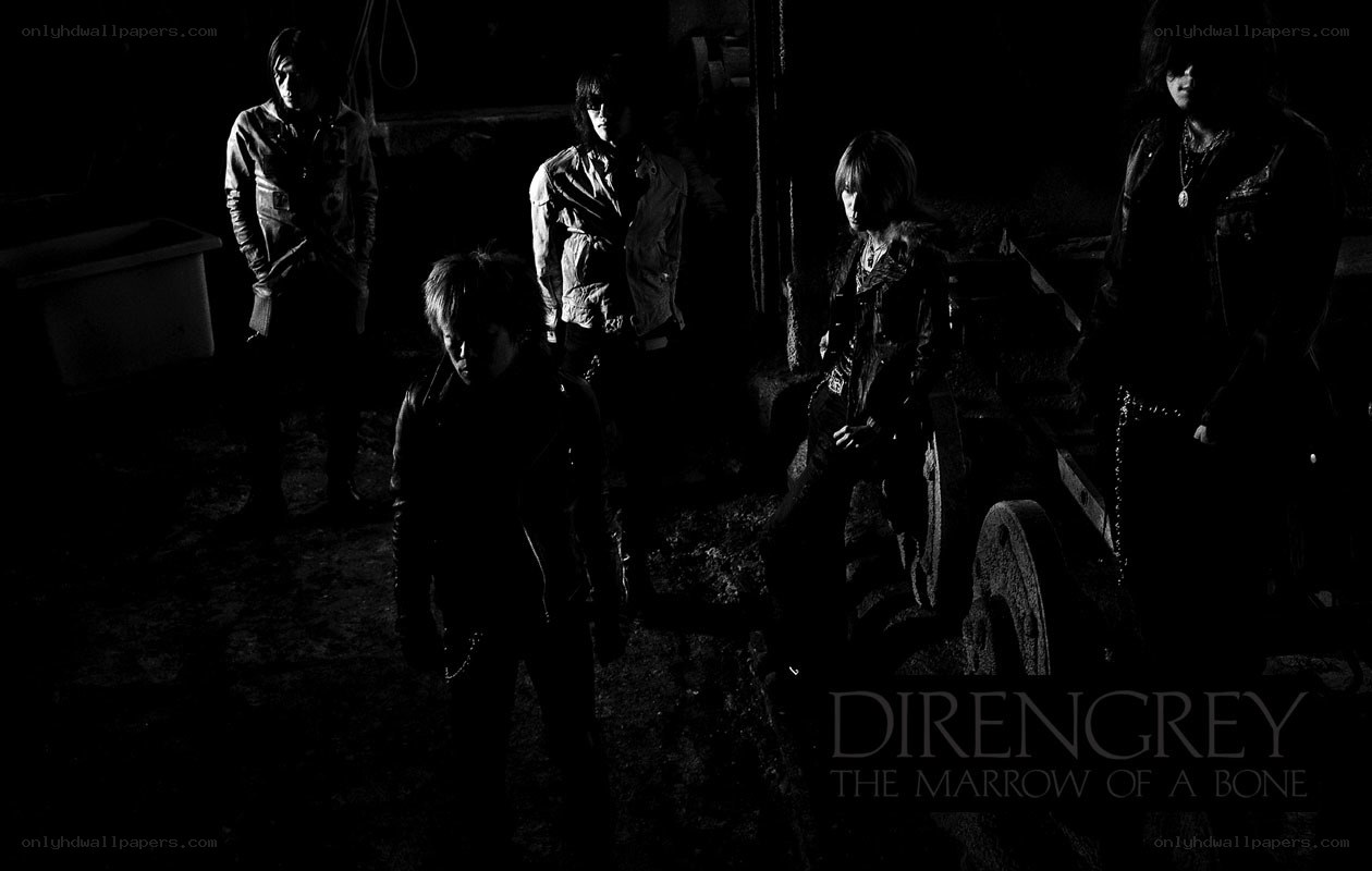 band photo in dark setting