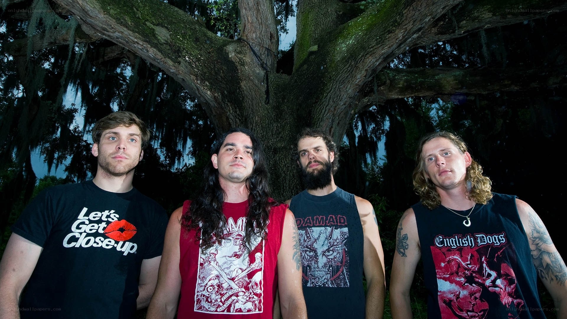 band photo under a tree