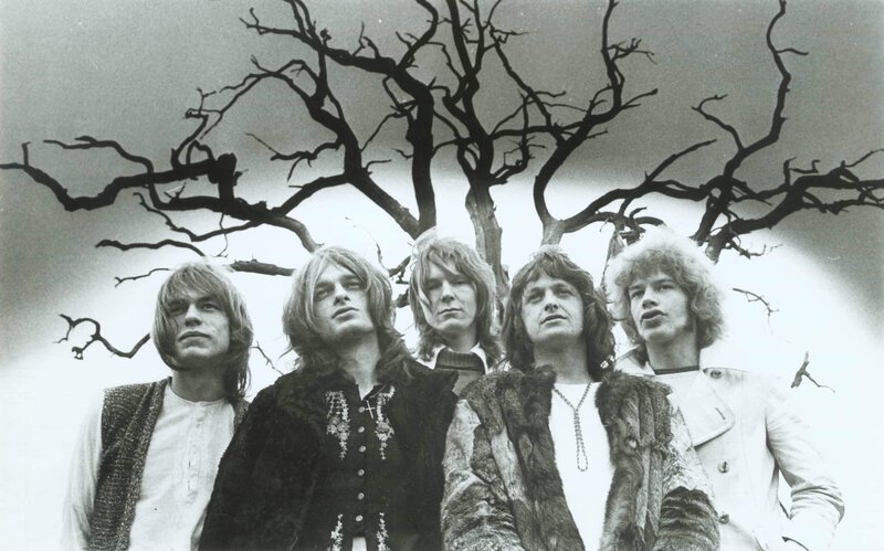 band photo with bare tree