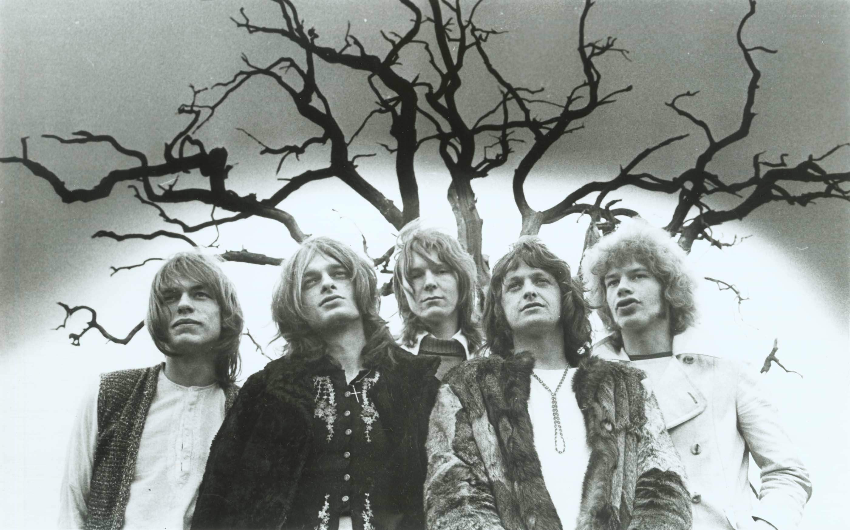 band photo with bare tree