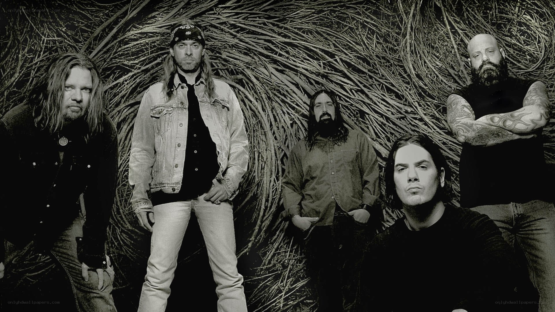 band photo with twigs background