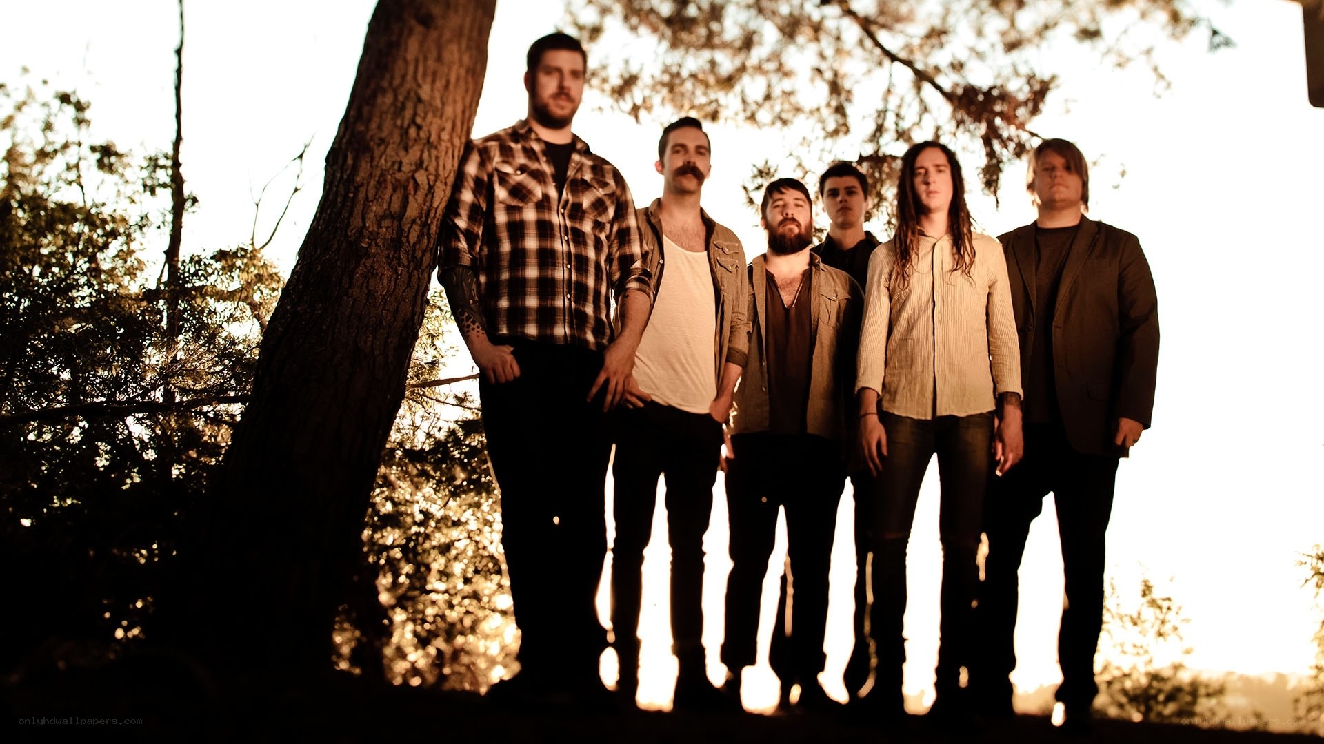band standing in forest