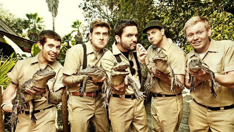 band with baby alligators