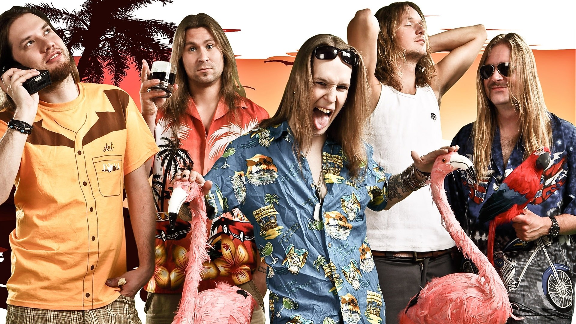 band with flamingos and parrot