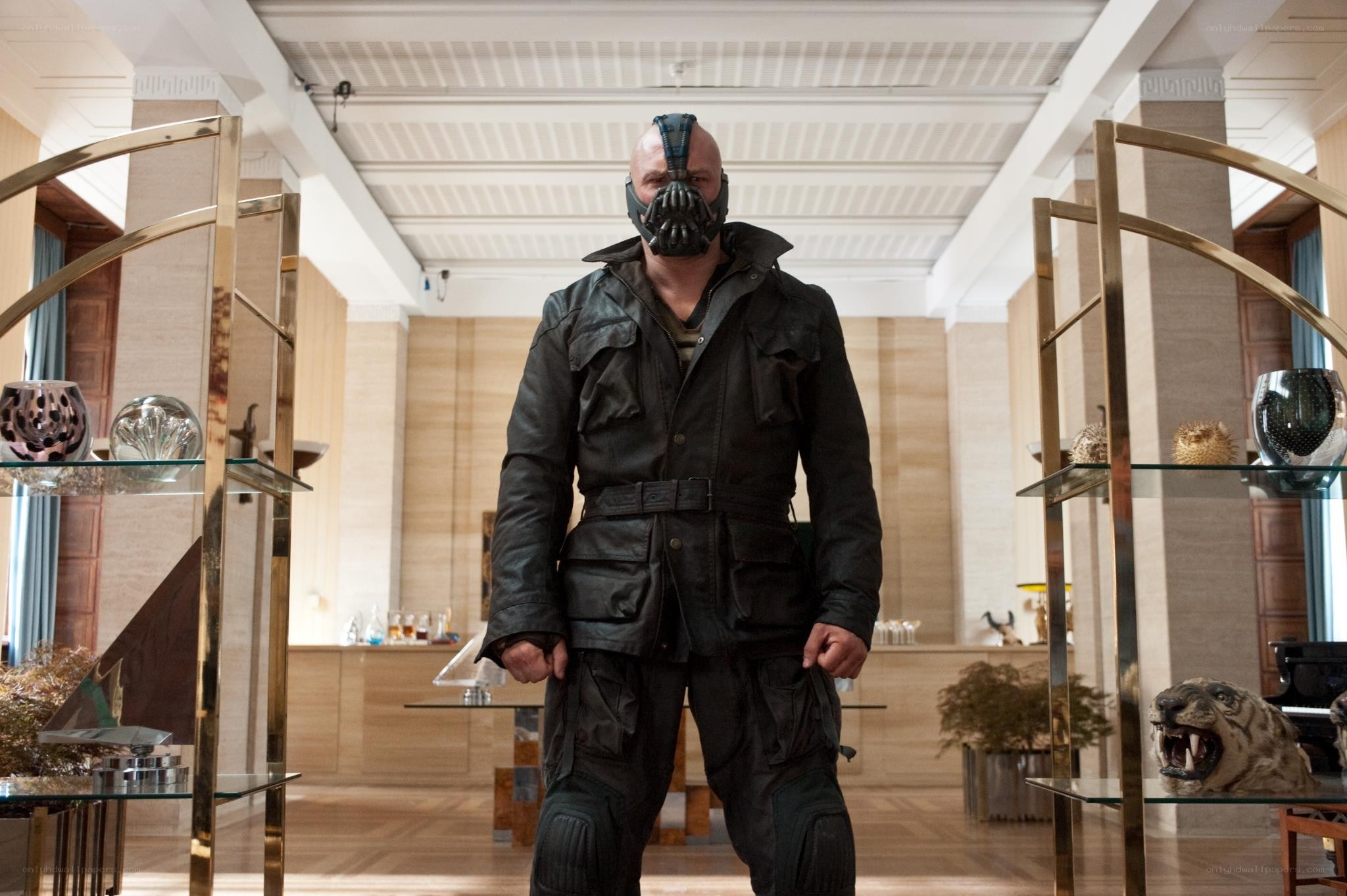 Bane in a luxury room