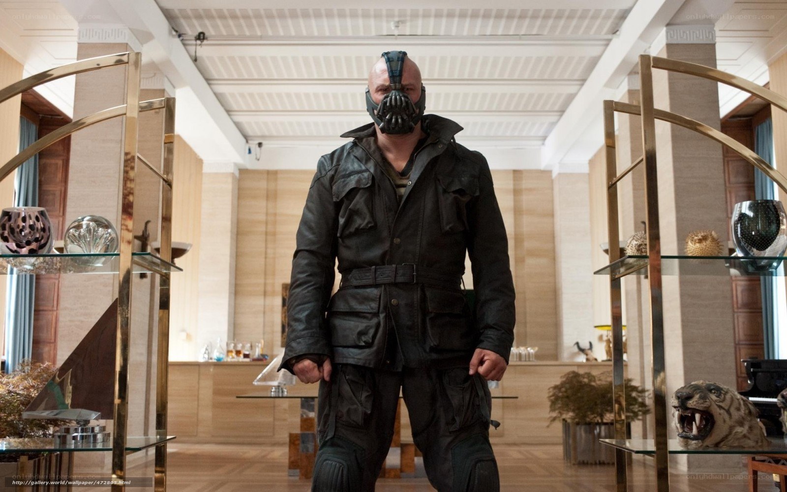 Bane in a luxury room