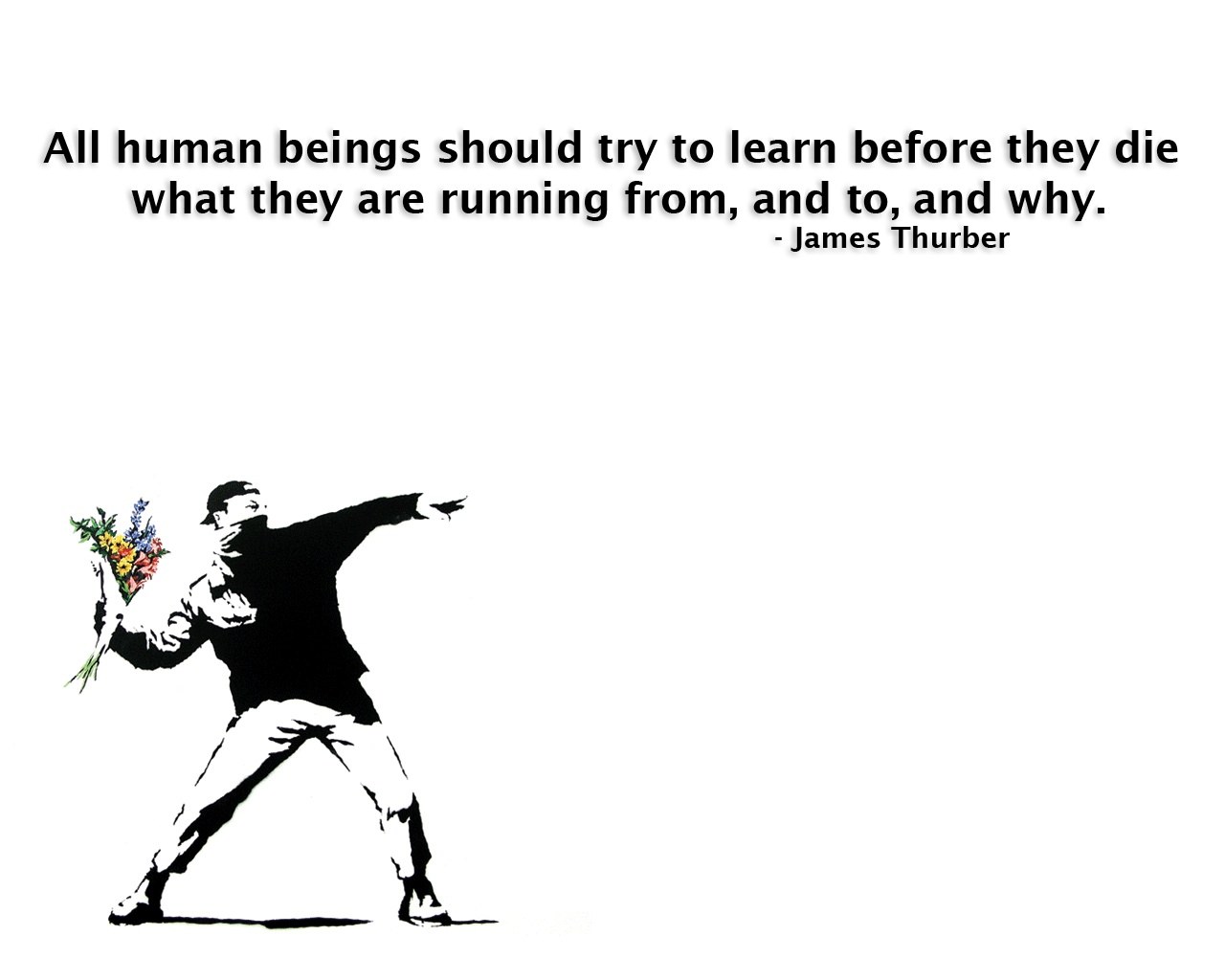 Banksy flower thrower