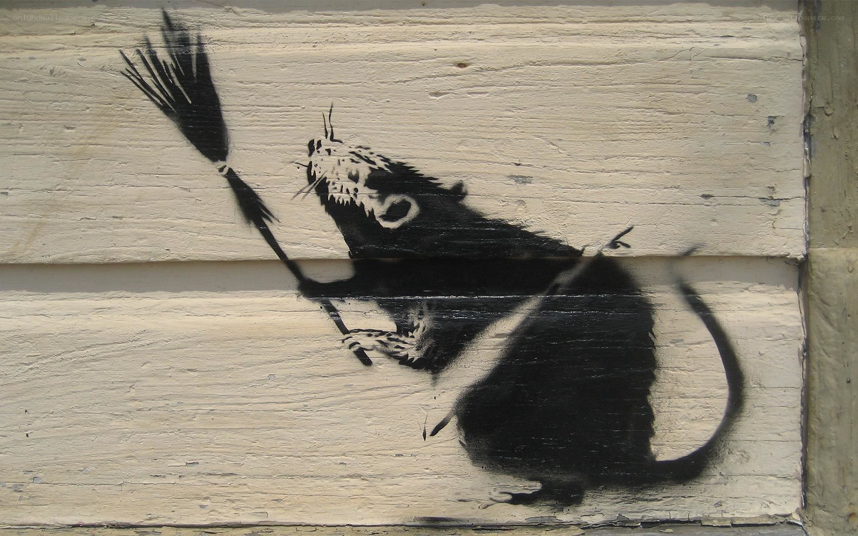 Banksy rat graffiti art