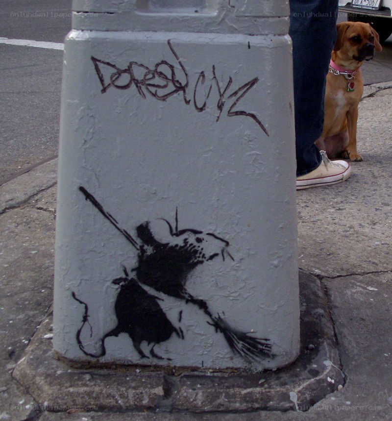 Banksy rat graffiti on pole