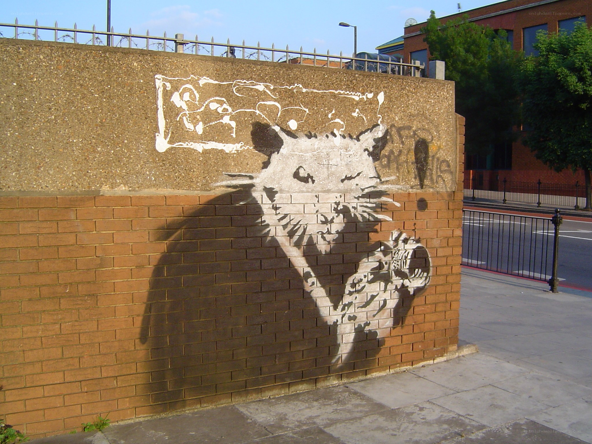 Banksy rat graffiti on wall