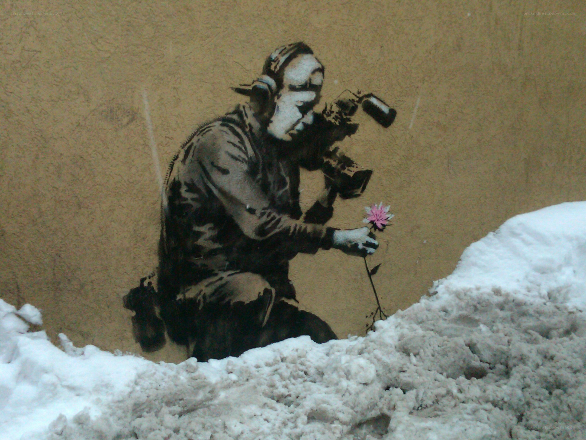 Banksy's Flower Thrower