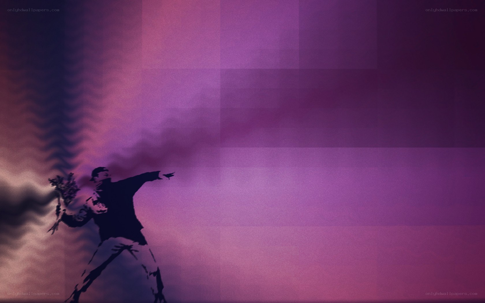 Banksy's flower thrower