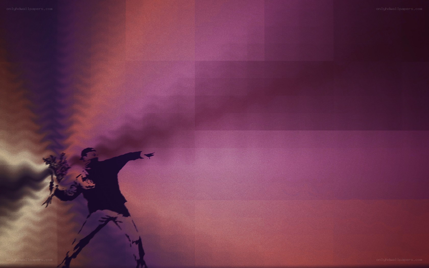 Banksy's Flower Thrower
