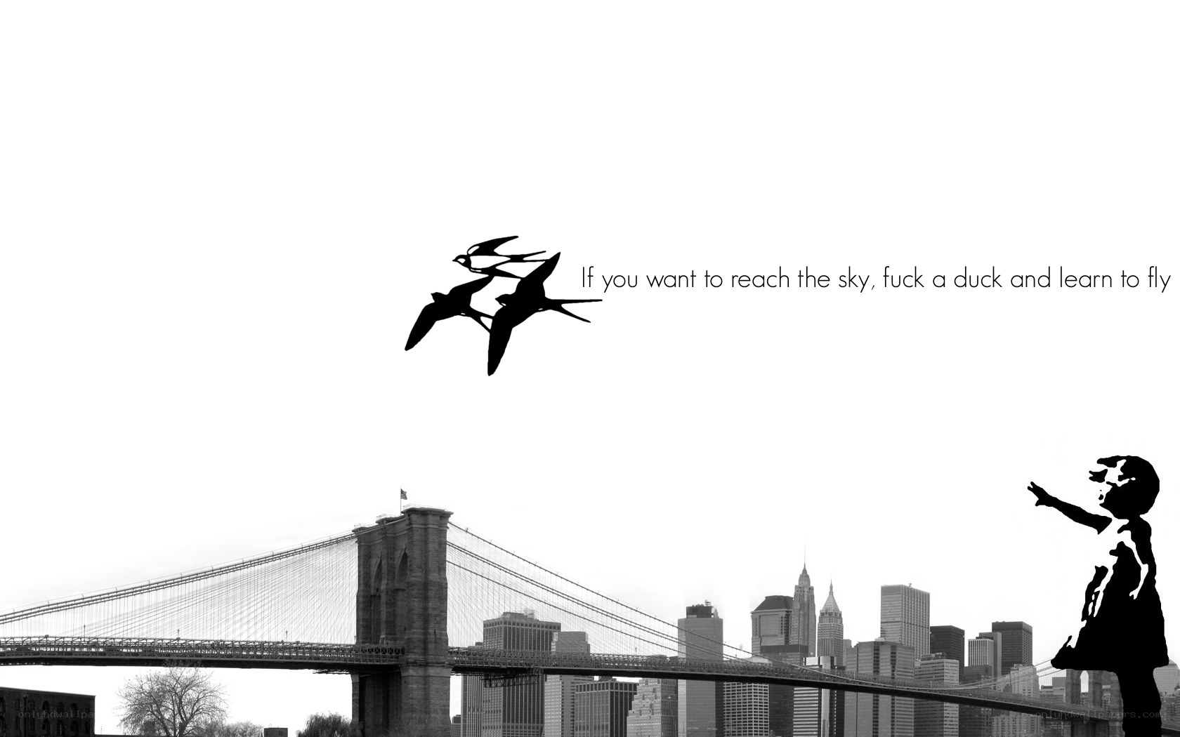 Banksy's Fly Boy