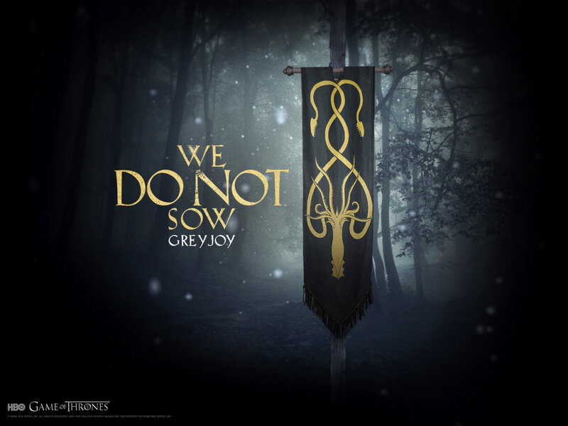 Banner in Dark Forest