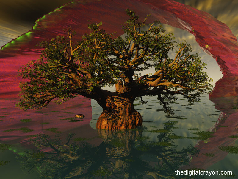 Baobab Tree in Water