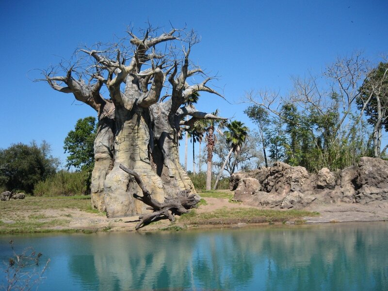 Baobab Tree Sculpture