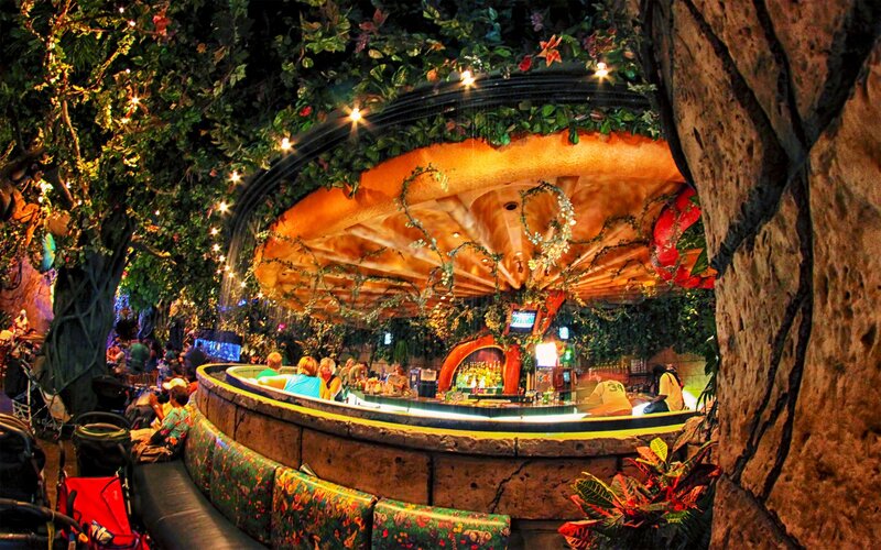 Bar in Jungle Setting