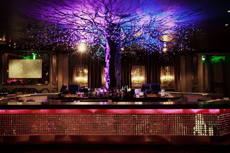 bar with illuminated tree centerpiece